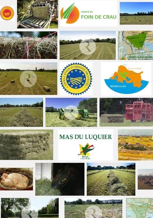 Foin de Crau(aoc-aop) autour de la commune de Gardanne Foin de Crau(aoc-aop)